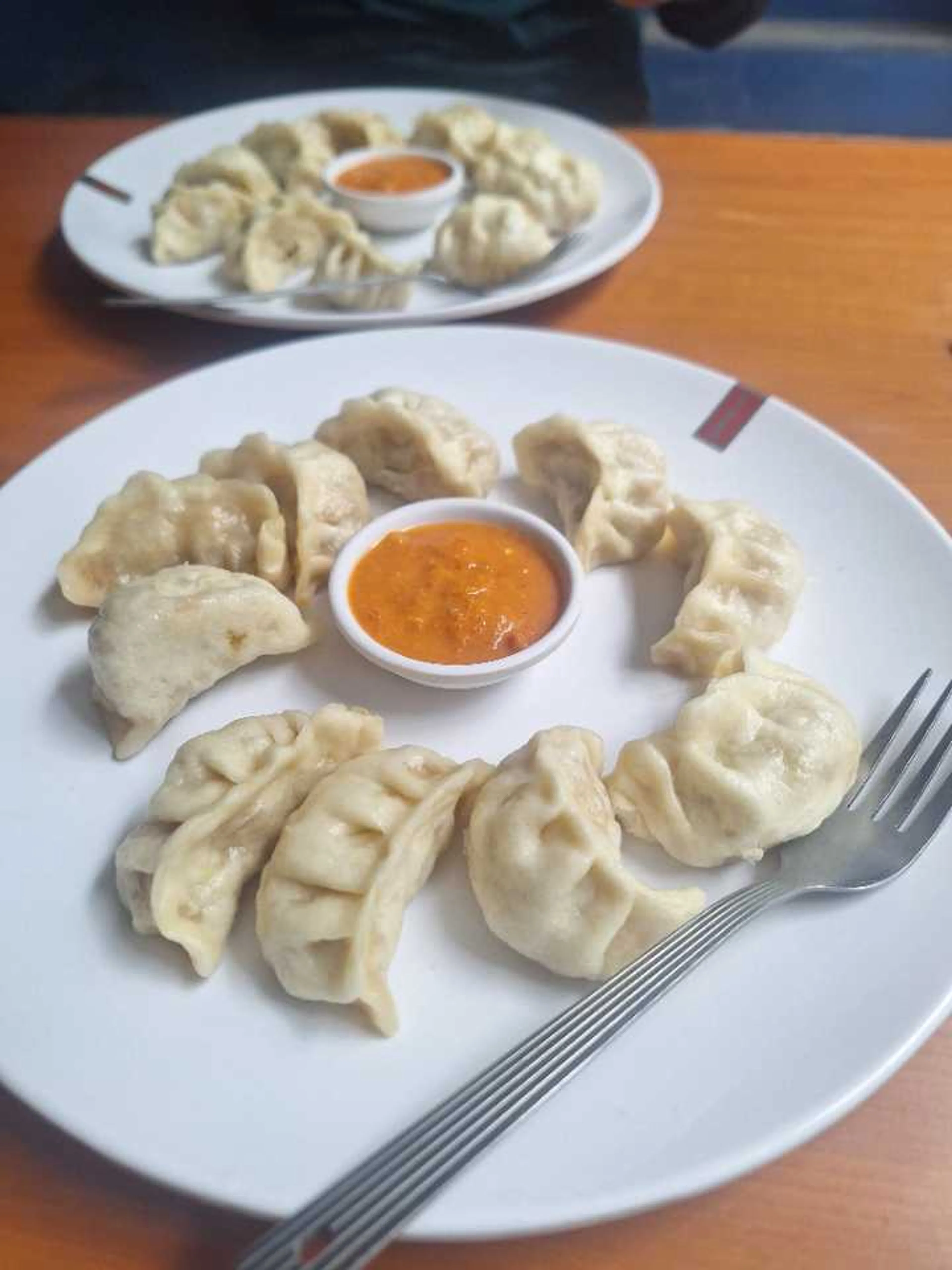 餃子みたいなネパール料理モモ。辛い。