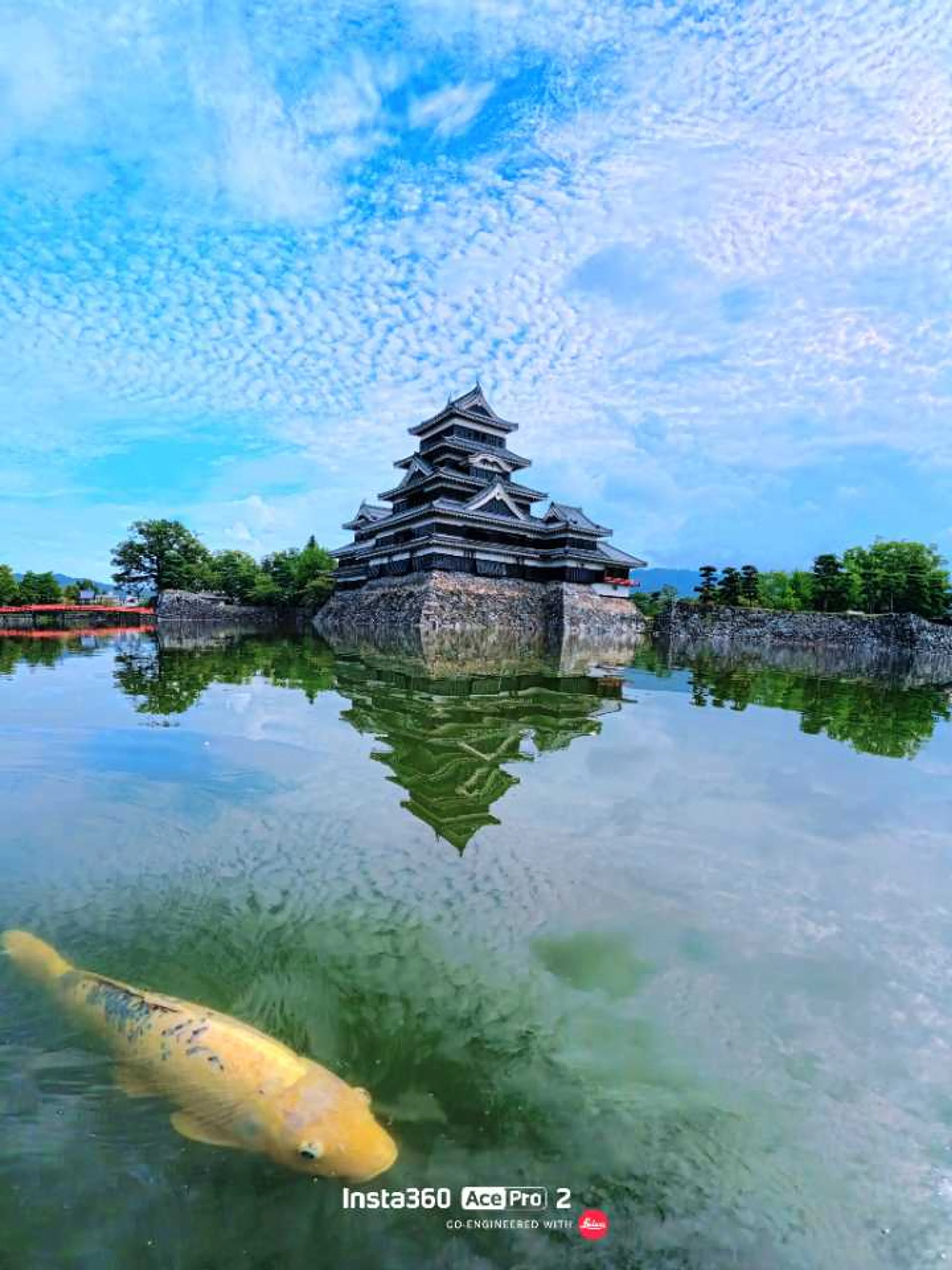 松本城