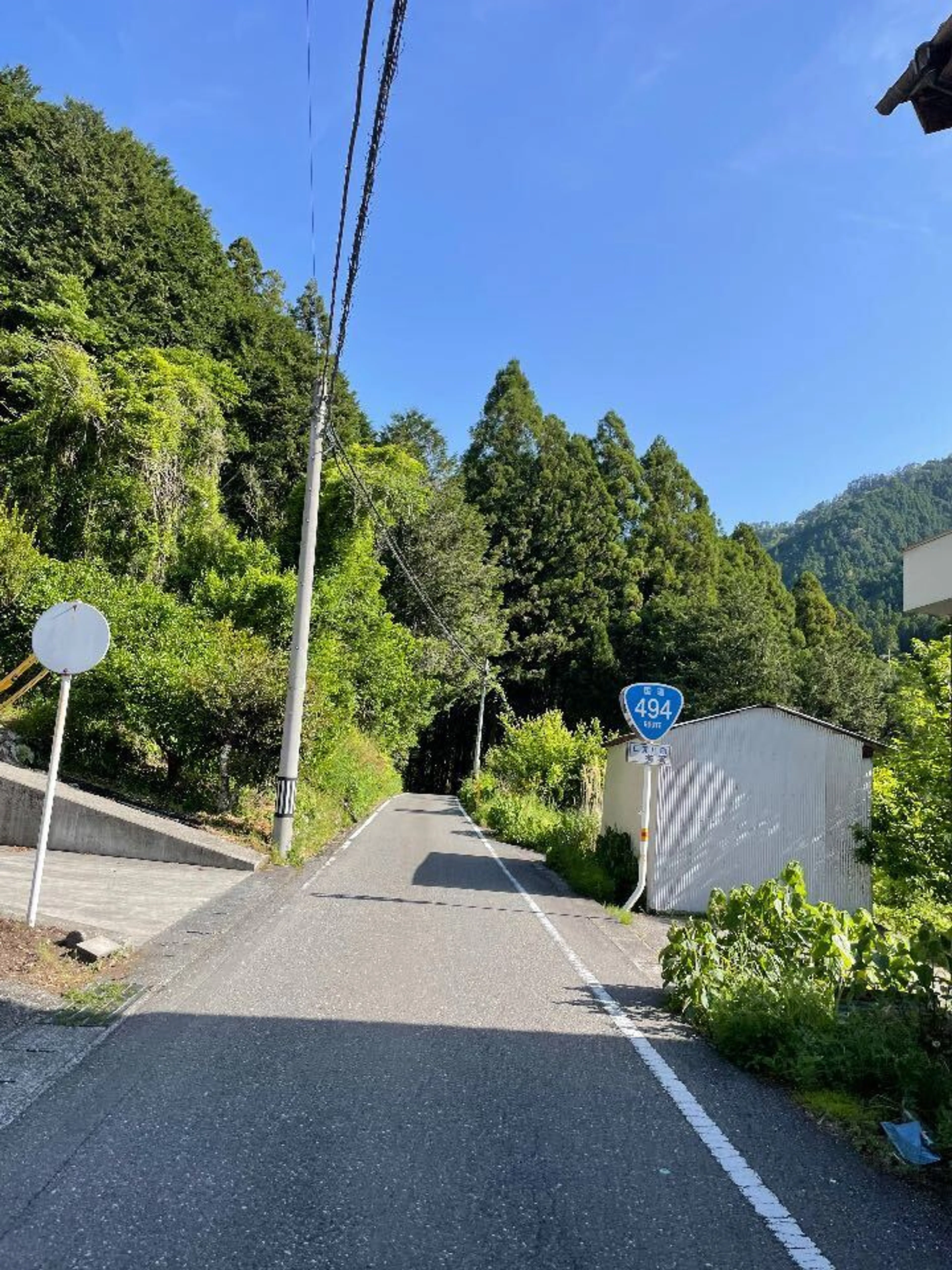 本当に国道？