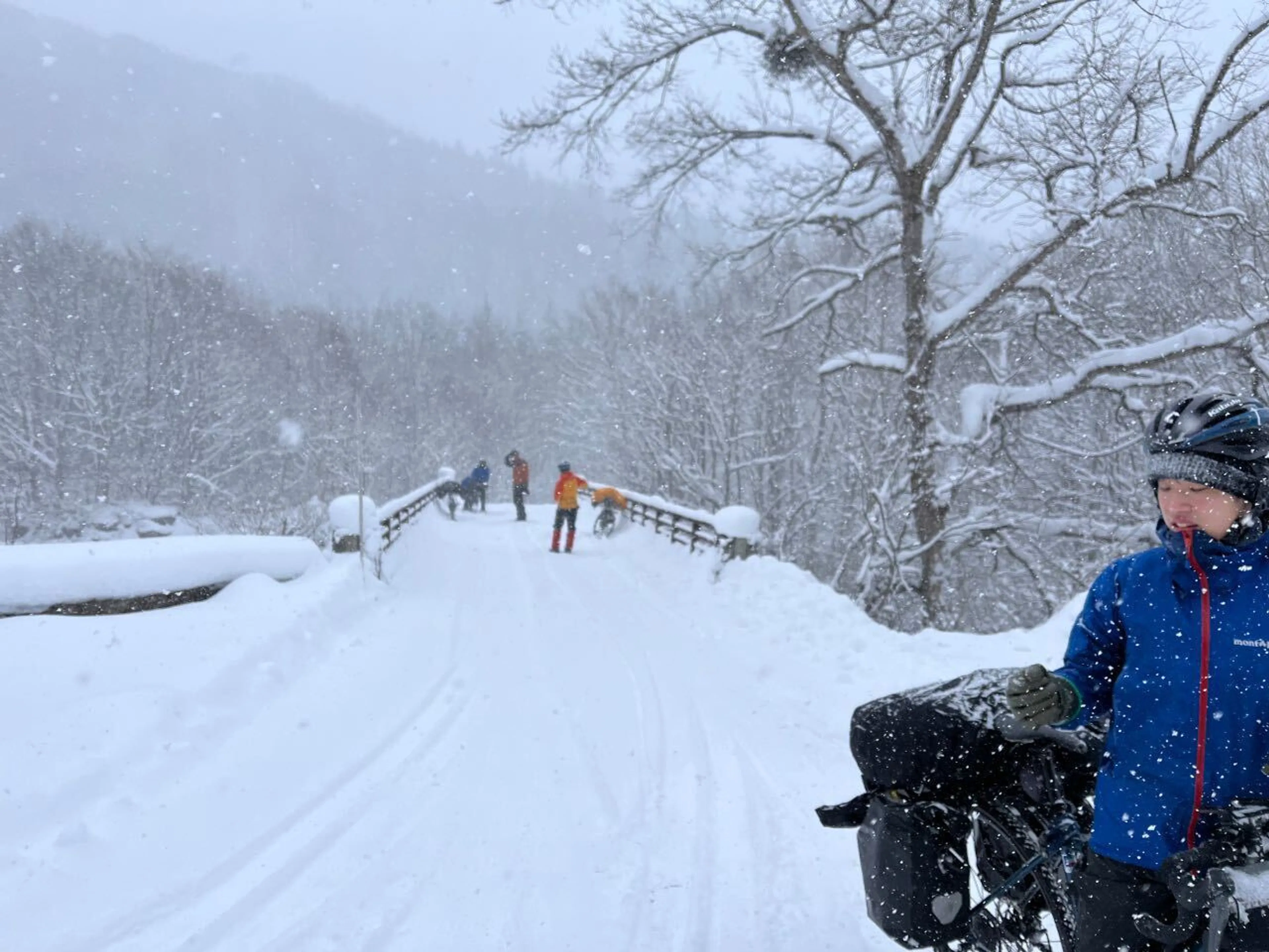 冬北より雪が雪雪してる