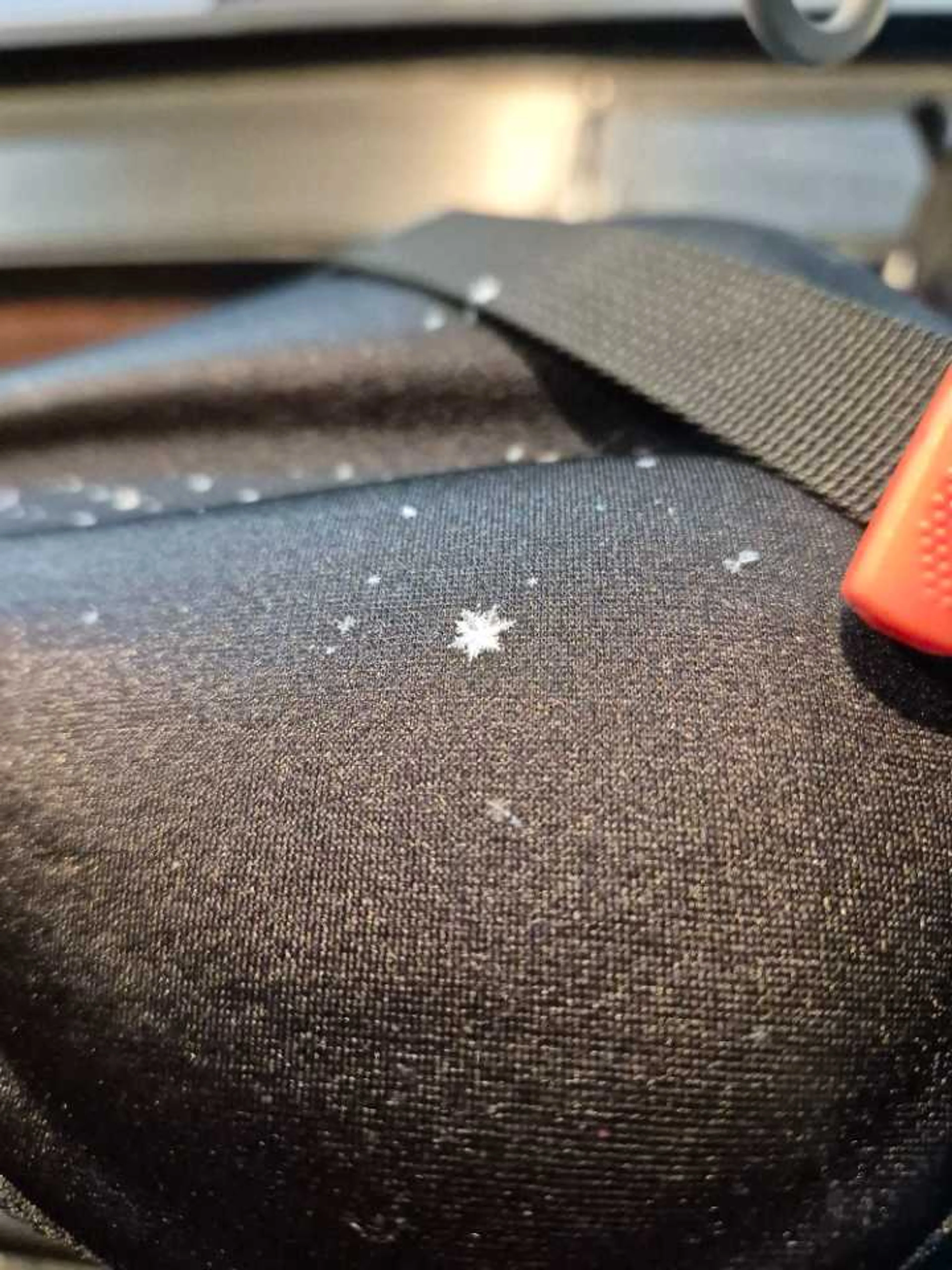 ❄大きい
