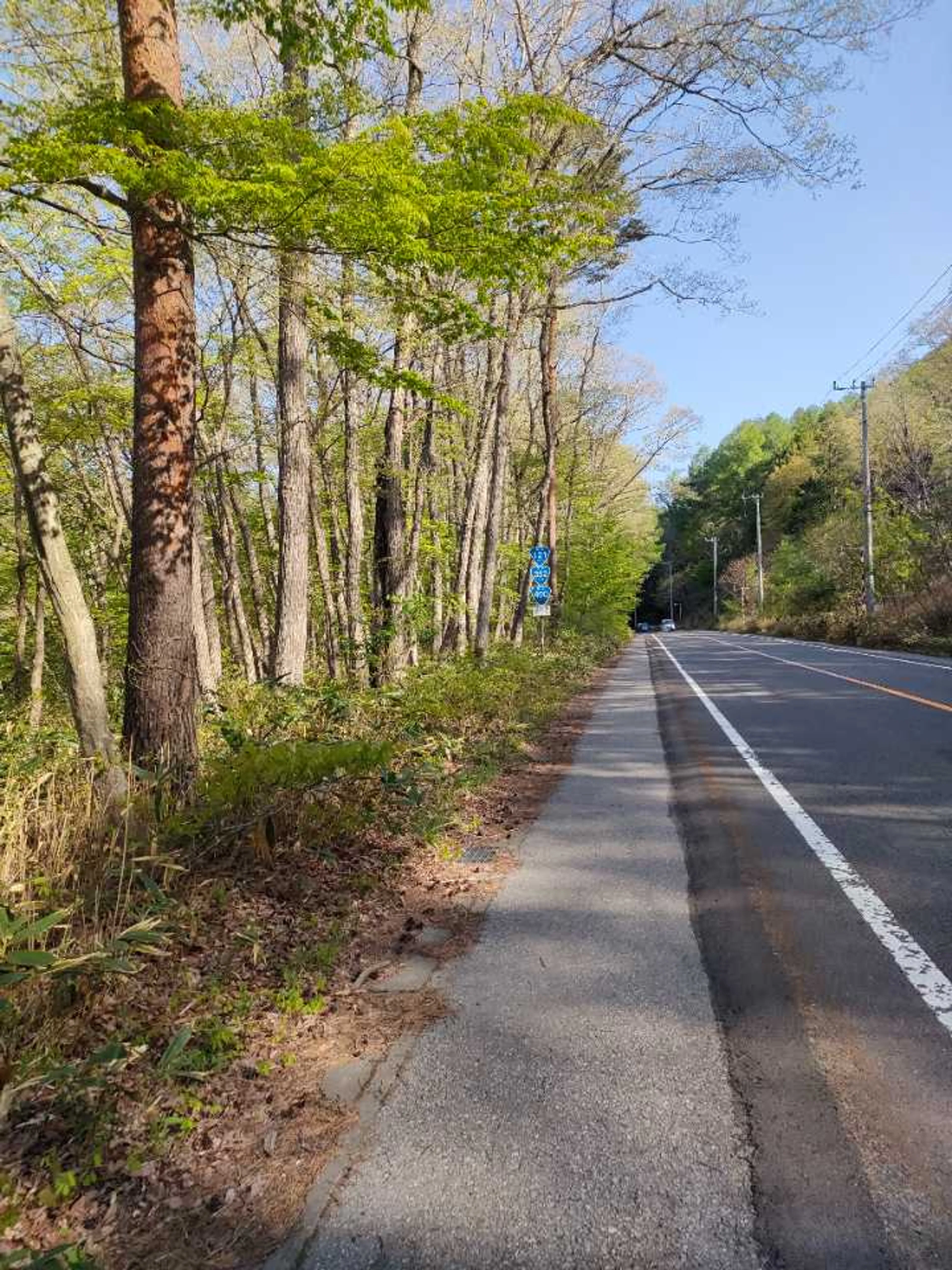 田中クンと別れひた走ります