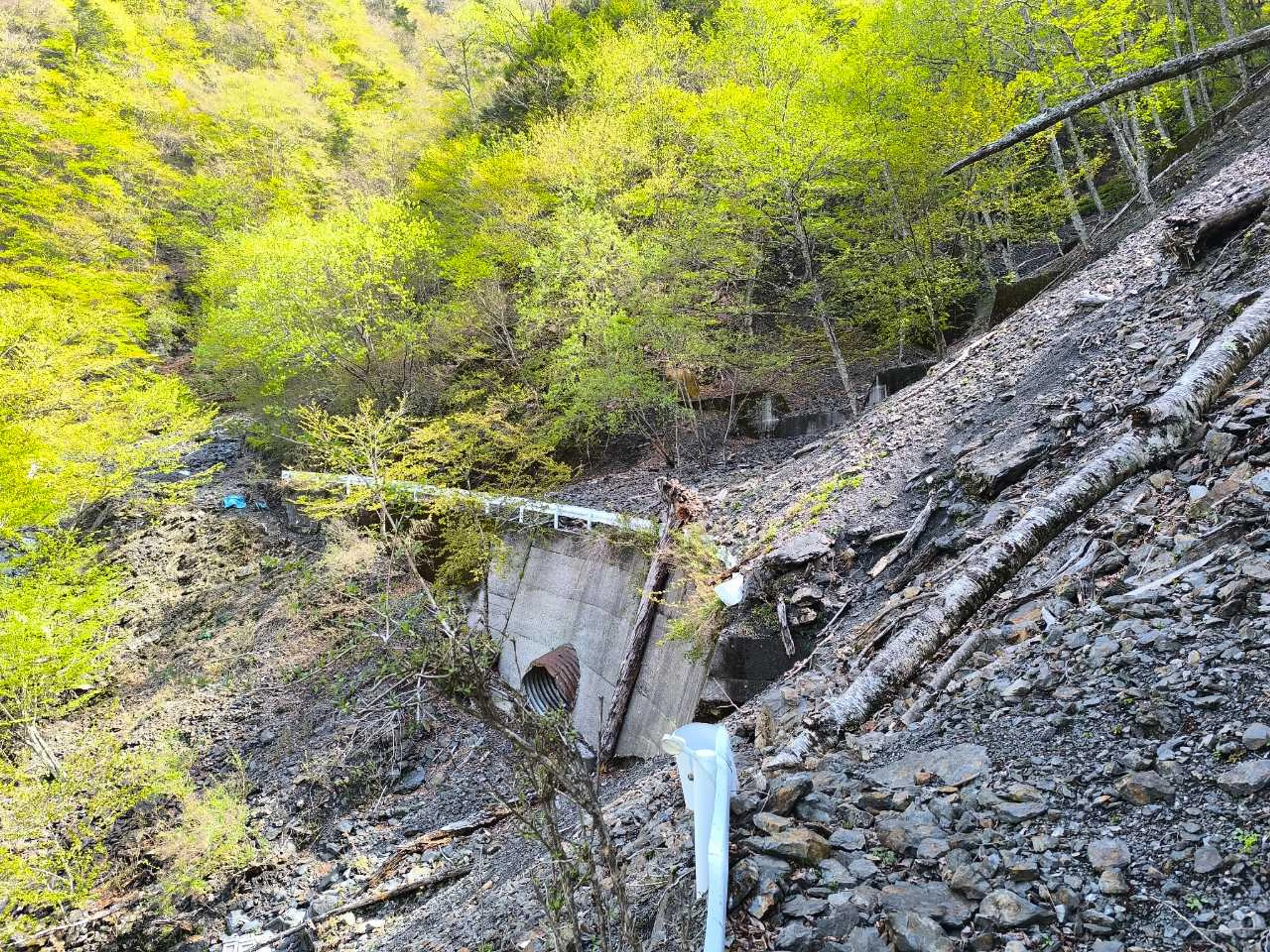 ここで断念