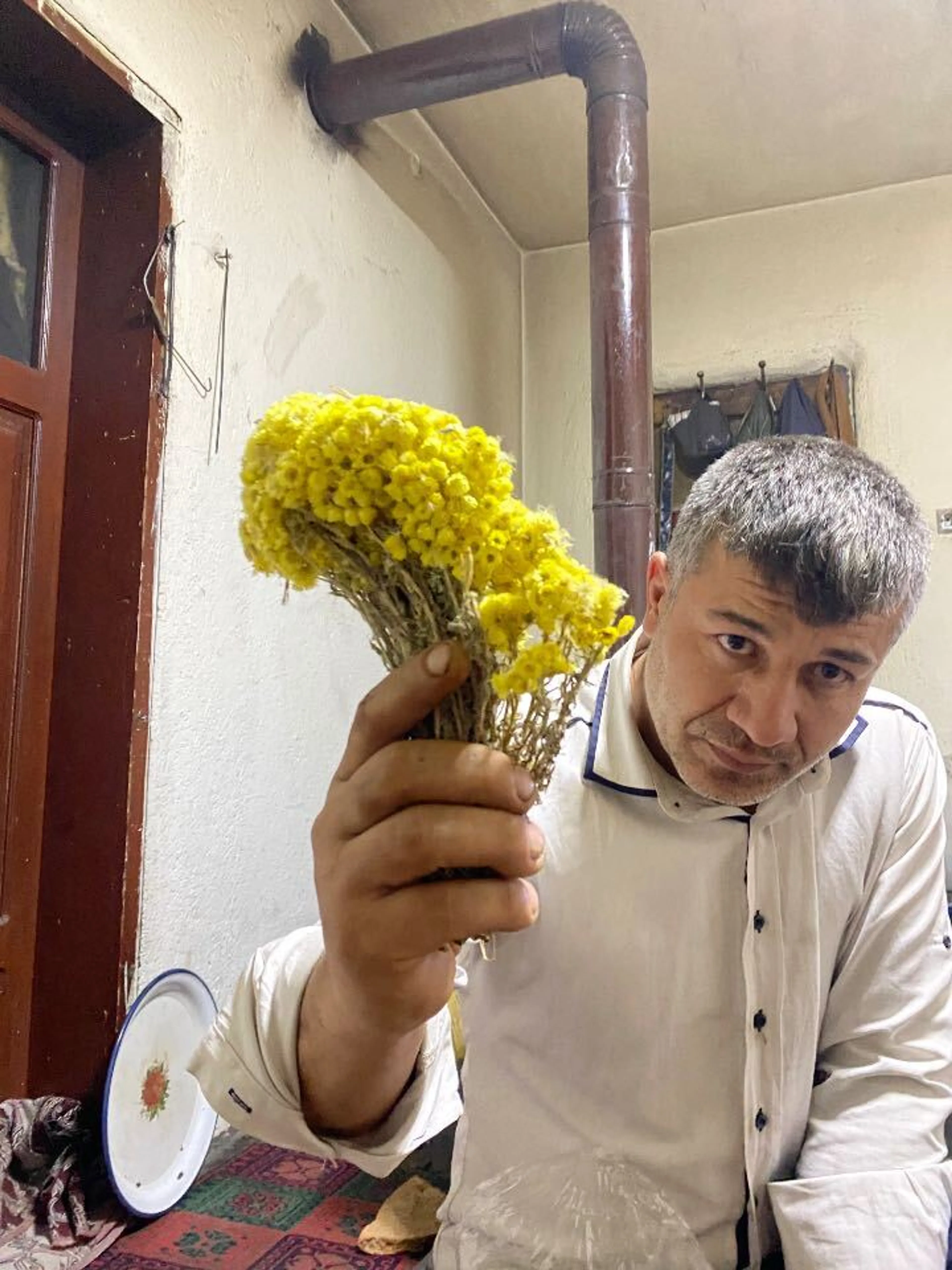 リンデンという植物．ハーブチャイの原料らしい．