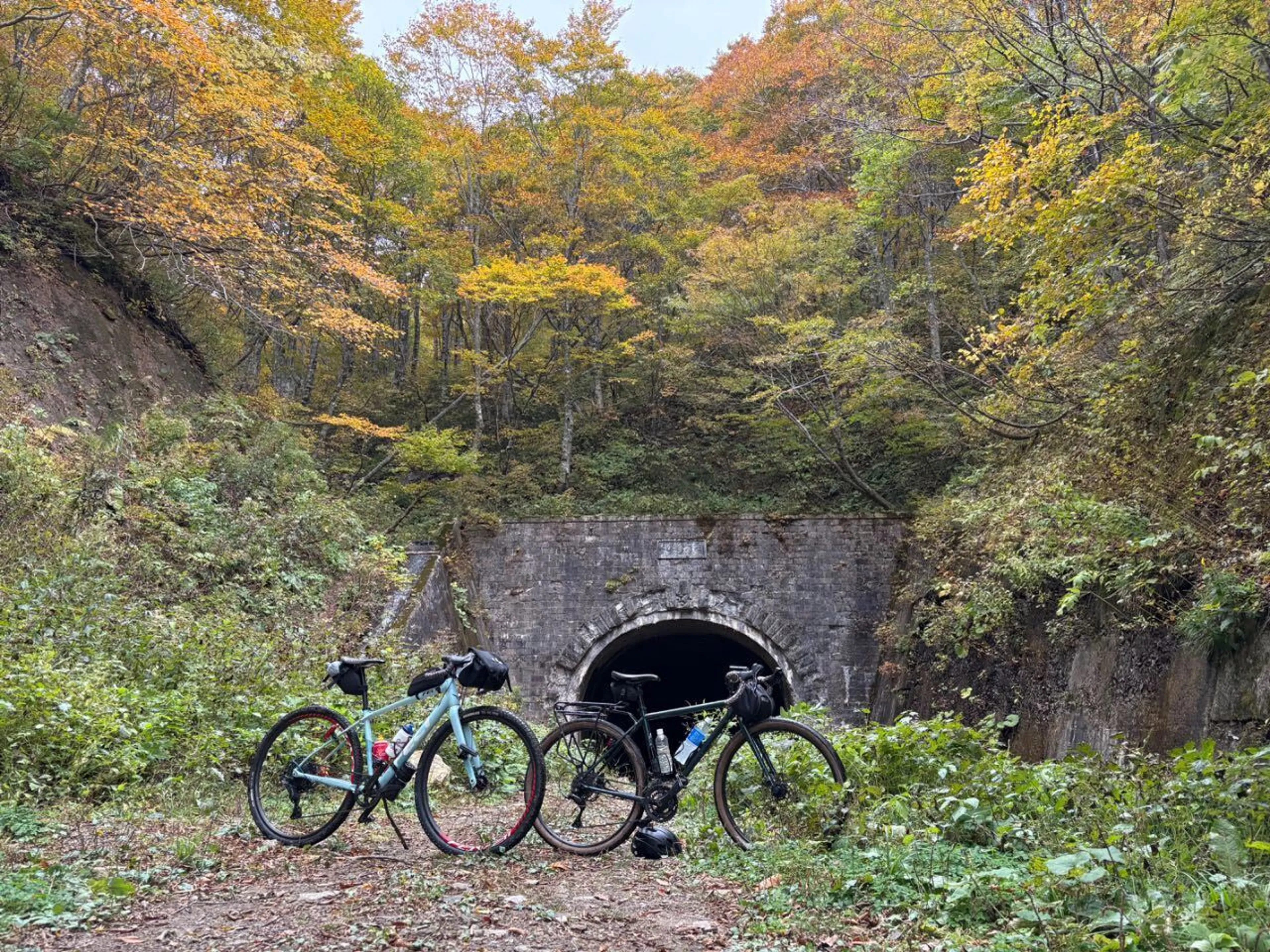 写真撮って帰ります