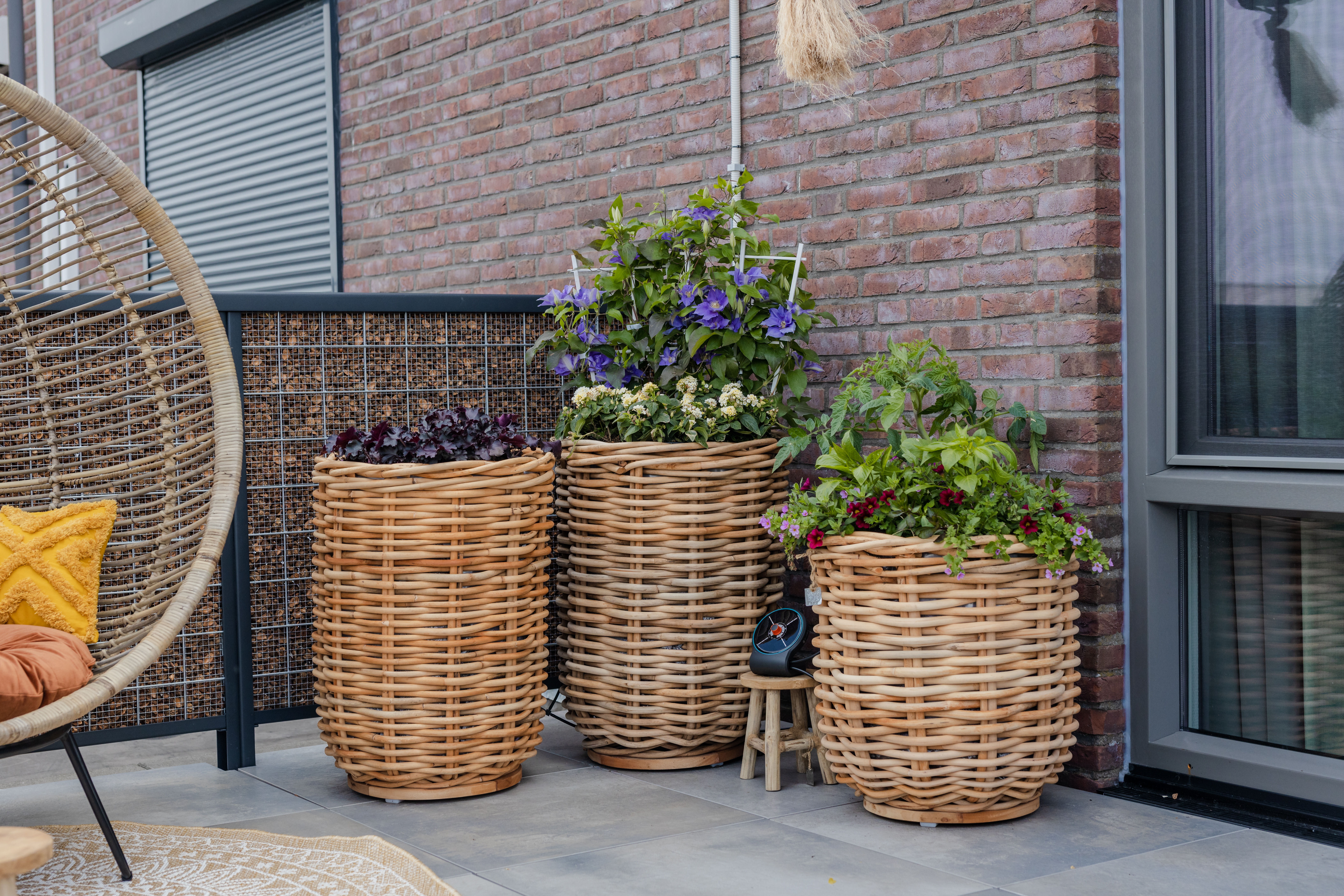 Groen en beplanting op dakterras