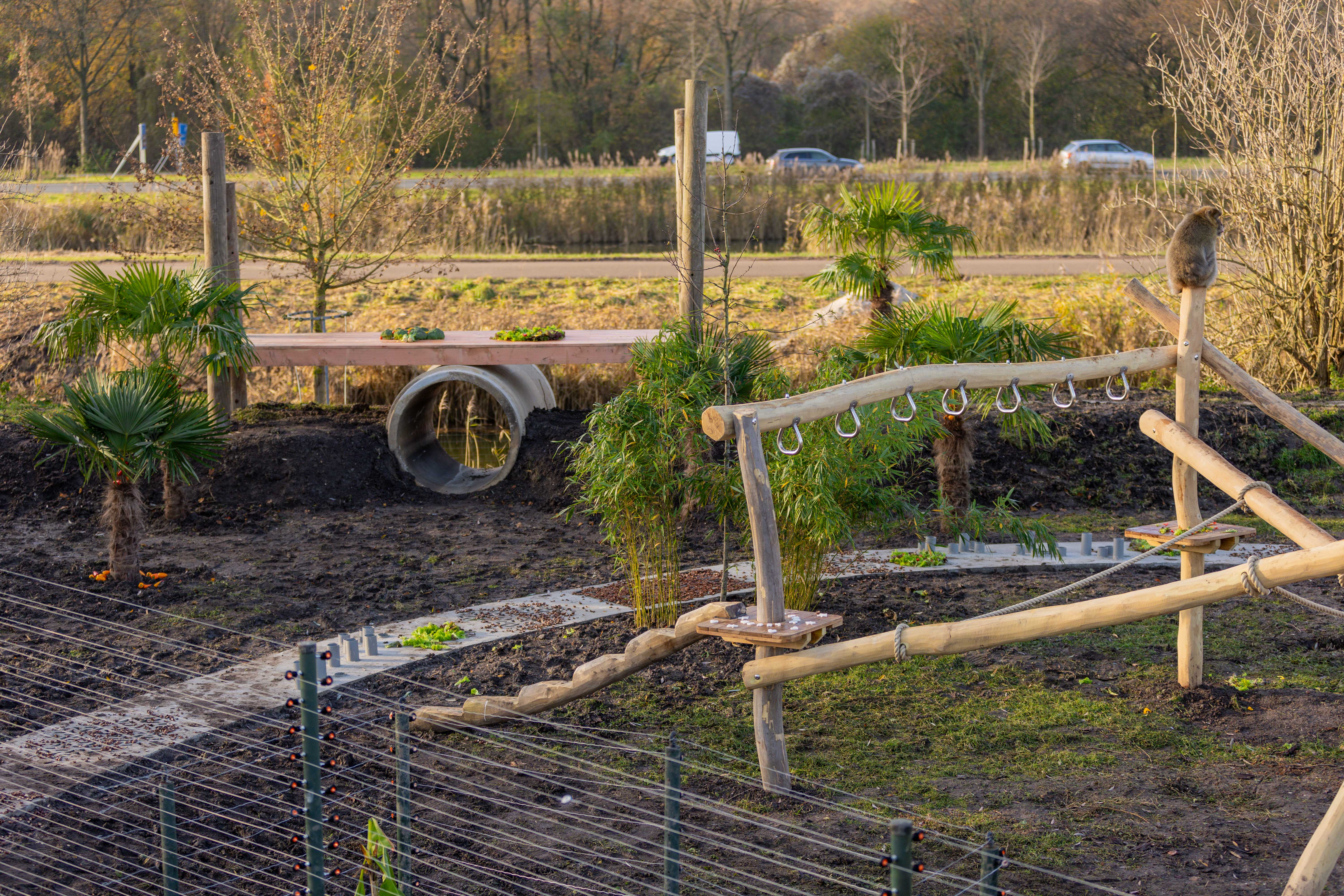 De Grote Tuinverbouwing Stichting AAP