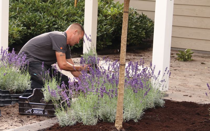 Inspiratie tuinontwerp