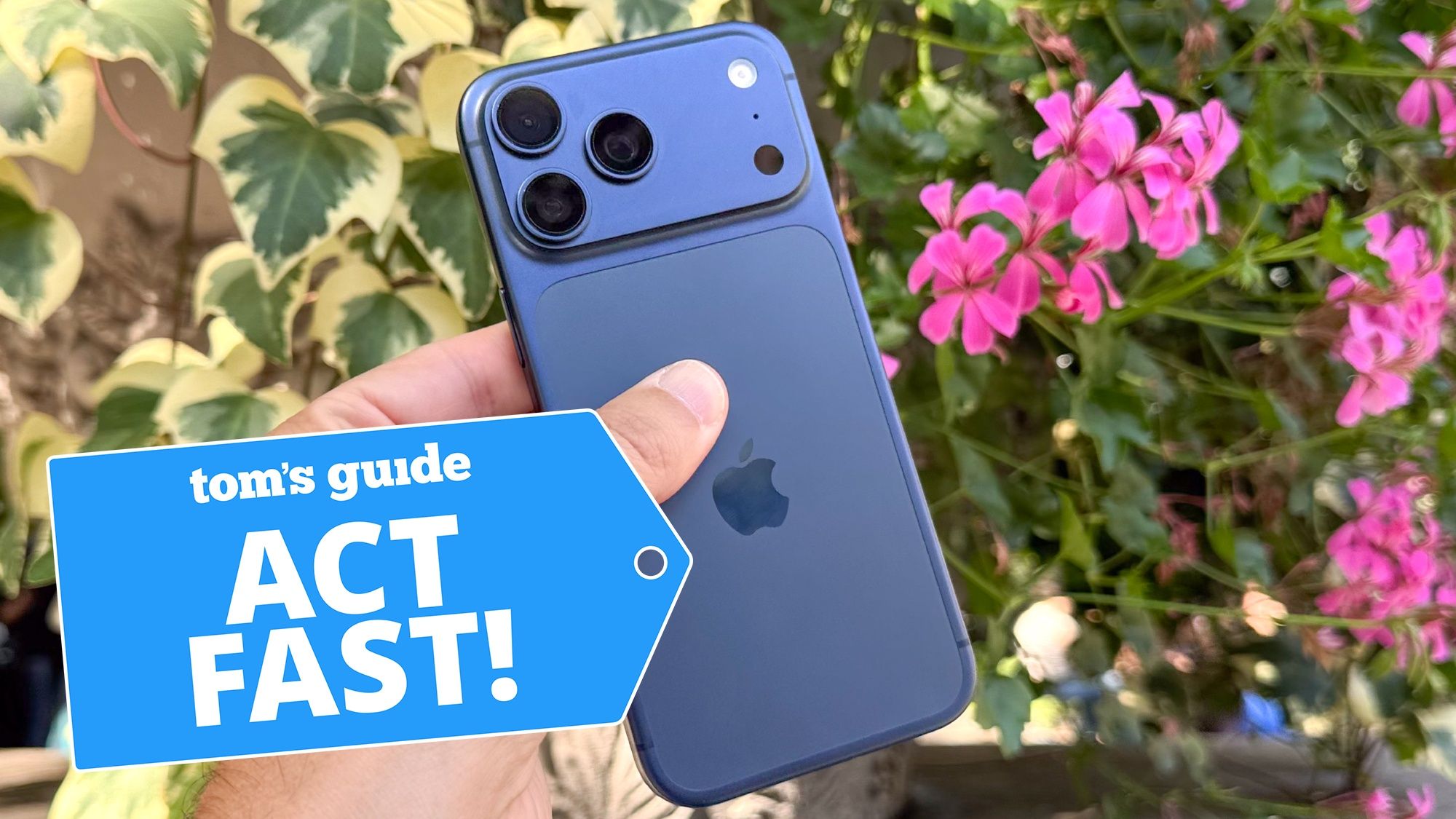 Thumbnail