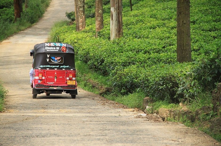Sri Lanka ve Seylon Çayı Mucizesi! 211 tuk tuk 3787496 960 720