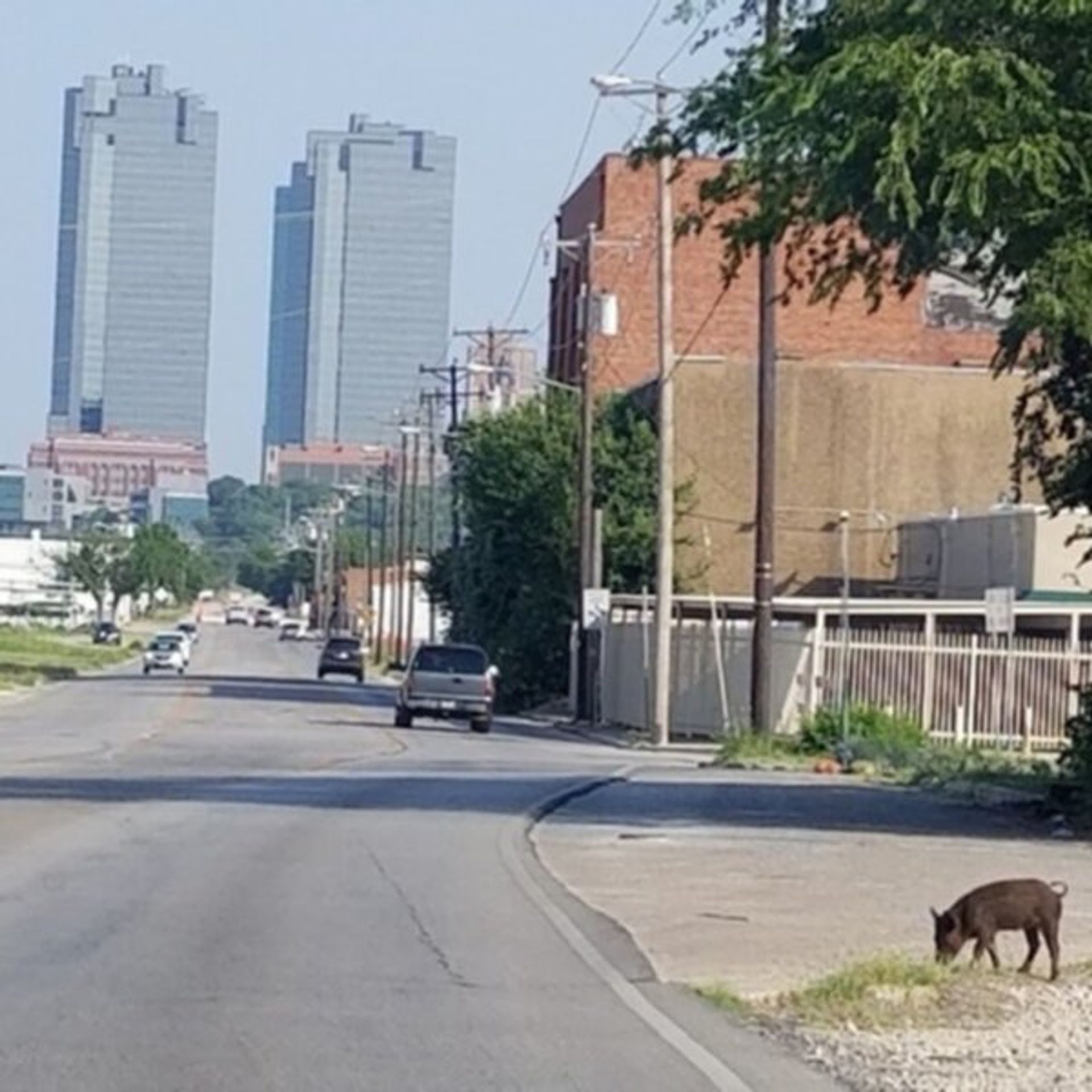 Chef Tim Love Catering LLC