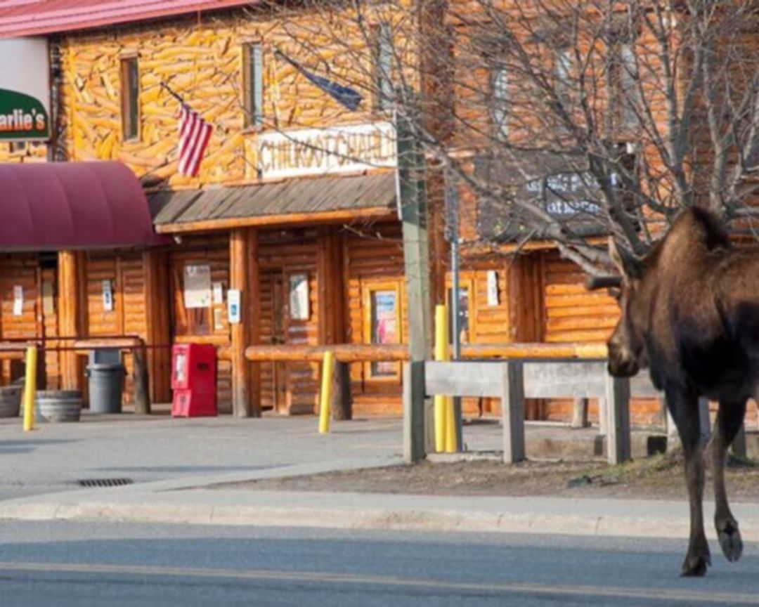 Chilkoot Charlie's