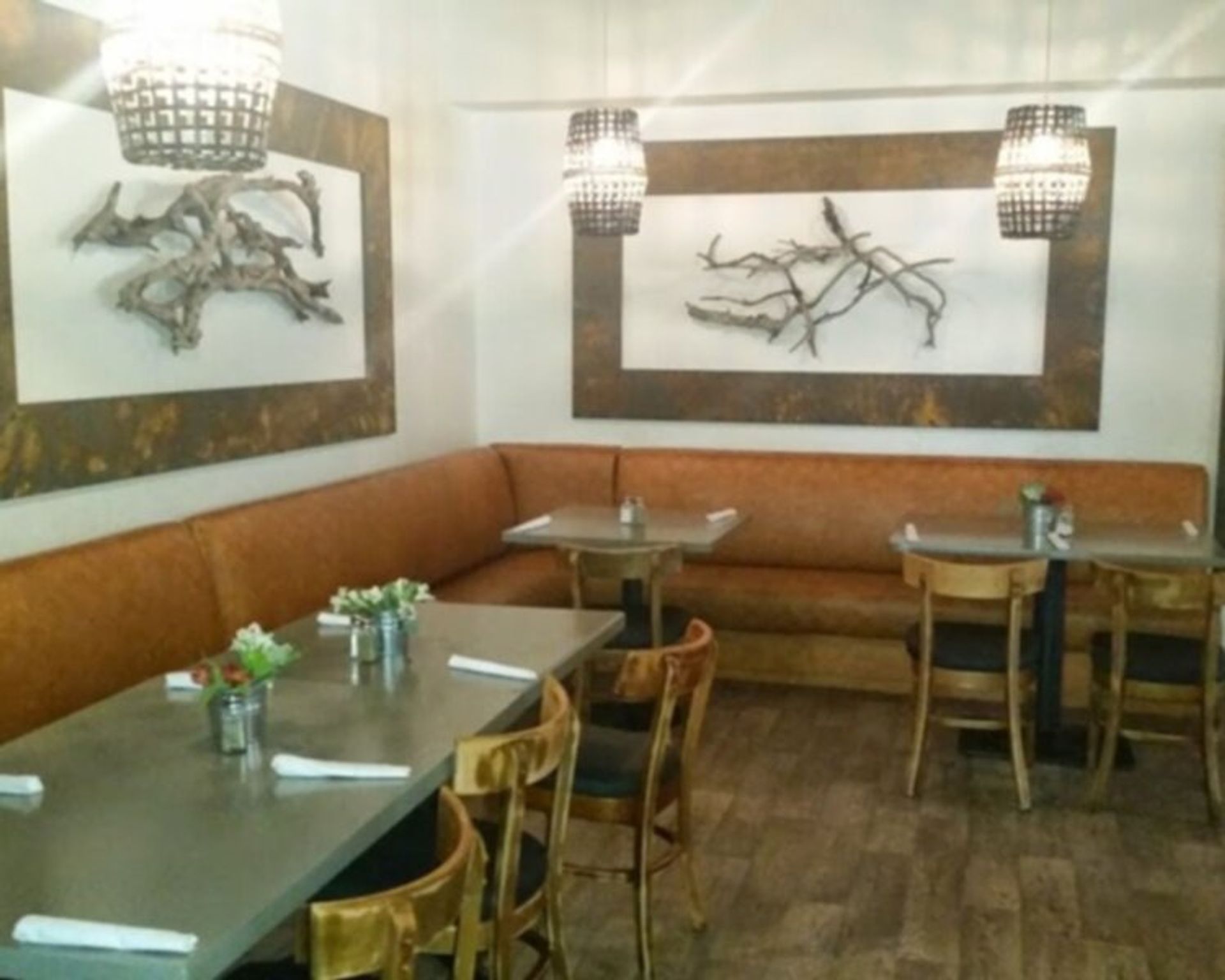 Zoogs Caveman Cookin