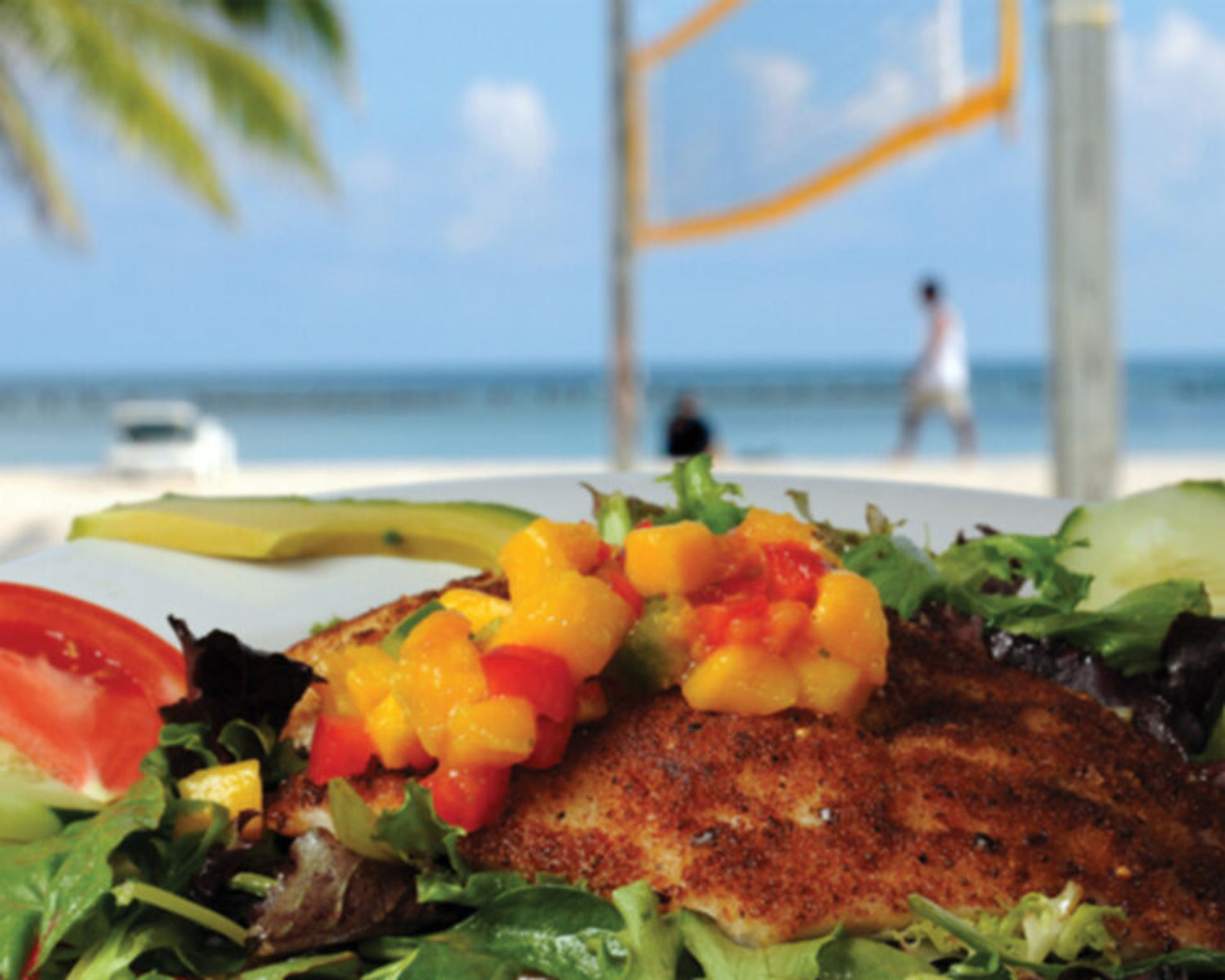 SALUTE! on the beach