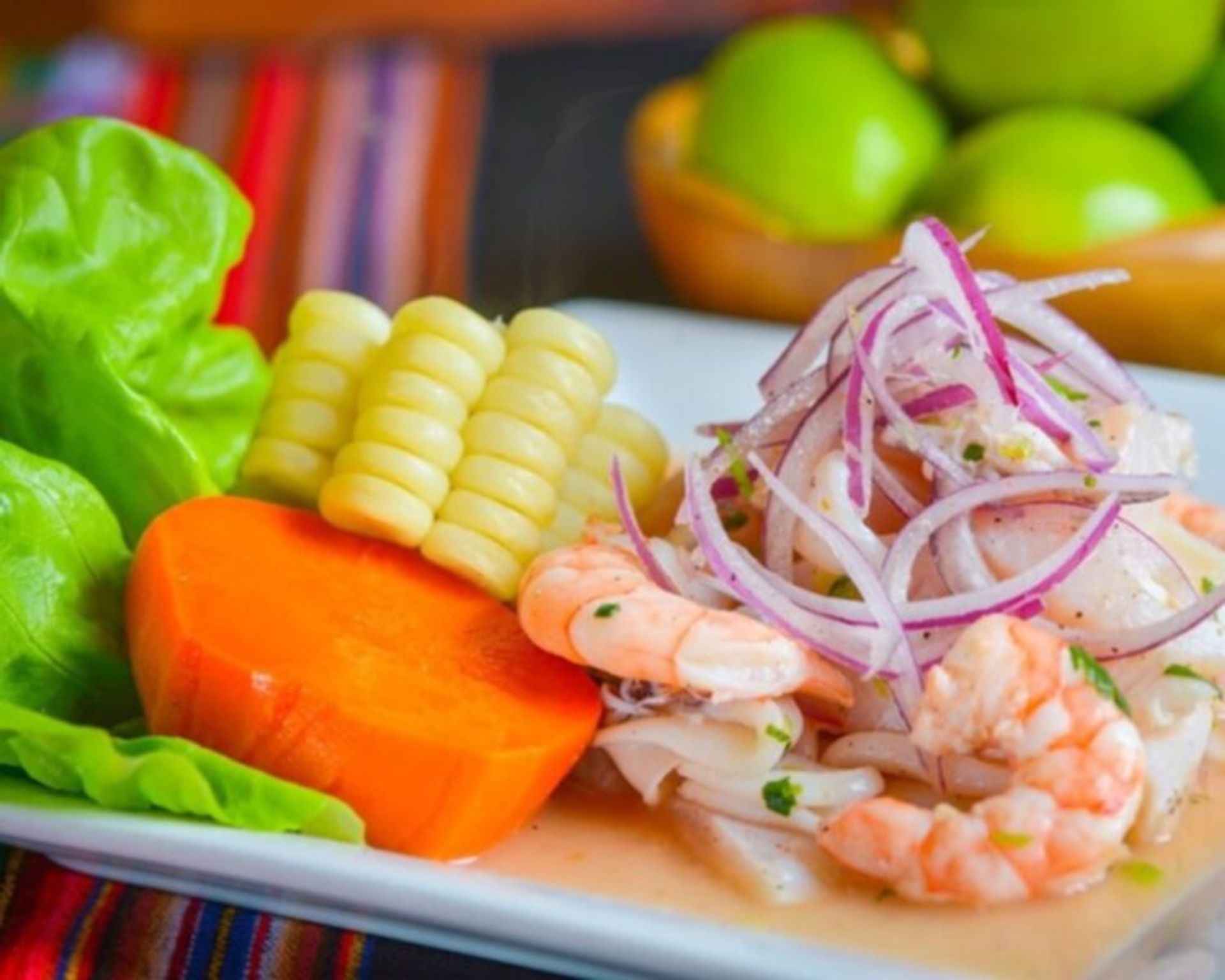Inca's Peruvian Cuisine