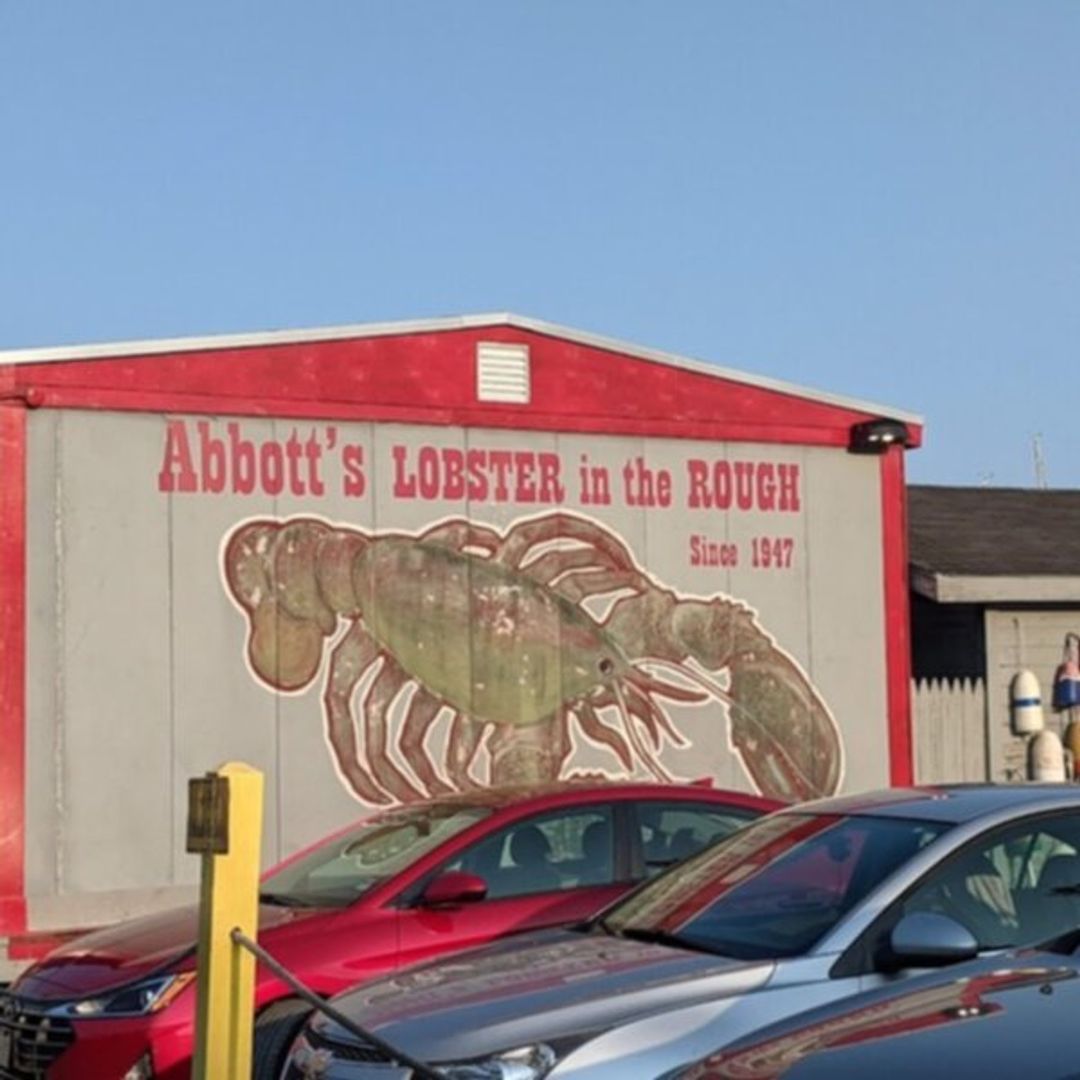 Abbott's Lobster In the Rough