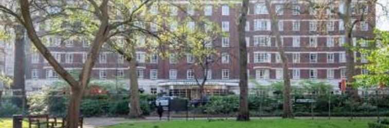 Khác Tavistock (Double)