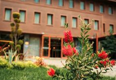 Others 4 Kilpa Hotel Uzungol Trabzon