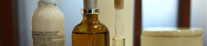 기타 4 The Sarojin