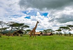 Others 5 Serengeti Sametu Camp by Karibu Camps & Lodges