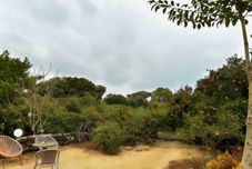 Lainnya Jeju Stay Susan