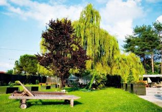 其他 Talia Hotel & SPA Sapanca