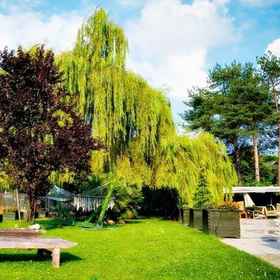 Talia Hotel & SPA Sapanca1 , 飯店Backyard Sapanca Kahvaltı & Bungalov