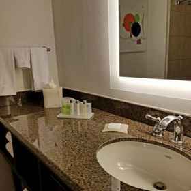 WYNDHAM HOTEL - LAS COLINAS1 , 飯店达拉斯-沃斯堡国际机场