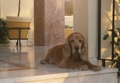 อื่นๆ 3 Stella Hotel