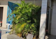 Others 2 Pousada Sol da Manhã