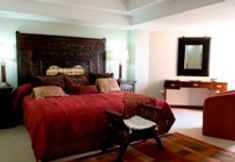 其他 4 TIBISAY MATURIN