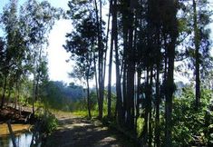 อื่นๆ 3 Sossego Do Major Pousada Hotel