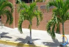 其他 5 Miramar Suites