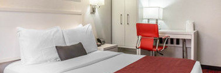 Lain-lain GEM HOTEL - CHELSEA, AN ASCEND HOTEL COLLECTION MEMBER