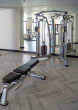 Others 4 Globales Don Pedro Adults Only +16