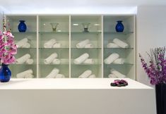 Others 7 Globales Don Pedro Adults Only +16