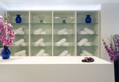 기타 7 Globales Don Pedro Adults Only +16