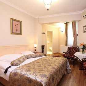 Ayasofya Apart & Hotel - Special Class1 , 飯店法提赫