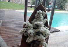 อื่นๆ 2 HOTEL RURAL ALVES