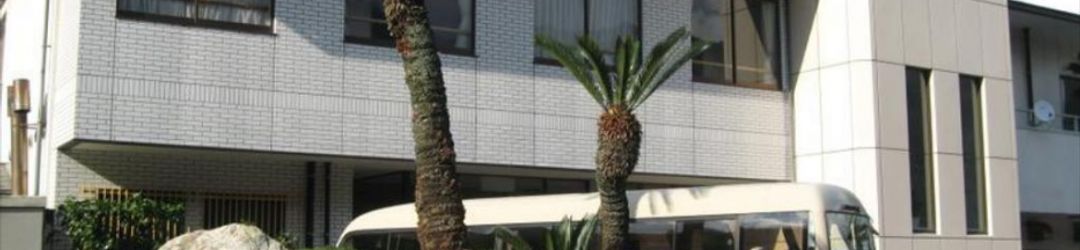 外觀 Seifuso (Mikata)