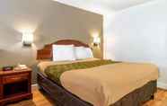 Kamar Tidur 3 Econo Lodge Inn and Suites