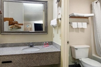 In-room Bathroom Econo Lodge Inn and Suites