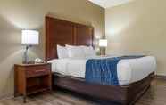 Bedroom 7 Comfort Inn and Suites High Point - Archdale (Ex Country Inn and Suites By Radisson)