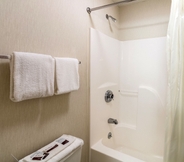 In-room Bathroom 5 Quality Express Inn and Suites Mineral Wells (ex. Rodeway Inn)