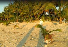 Nearby View and Attractions 6 The Reef Motel Aitutaki