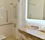 In-room Bathroom 4 Wyndham Garden Summerville (ex Holiday Inn Express Charleston Summerville)