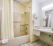 In-room Bathroom 3 Econo Lodge and Suites Brinkley AR