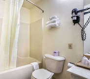 In-room Bathroom 6 Econo Lodge and Suites Brinkley AR