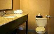 In-room Bathroom 2 Quality Inn Dunkirk NY