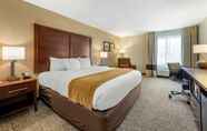 Bedroom 7 Comfort Inn Hotel